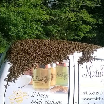 Lo sciame Naturape