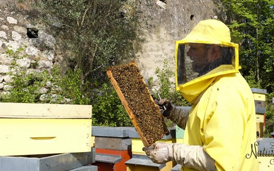 La passione per il proprio mestiere